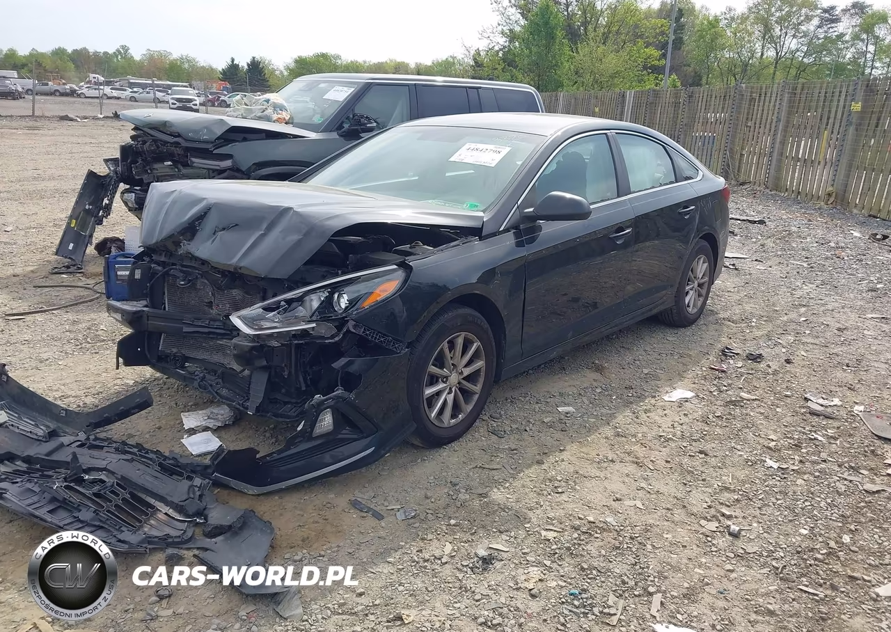 2019 Hyundai Sonata Se VIN:5NPE24AF3KH759242 - 2