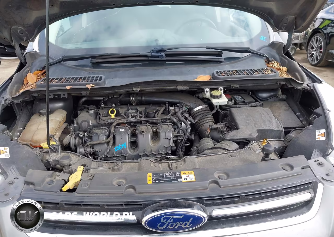 2013 Ford Escape Titanium VIN:1FMCU0J91DUD24261 - 10