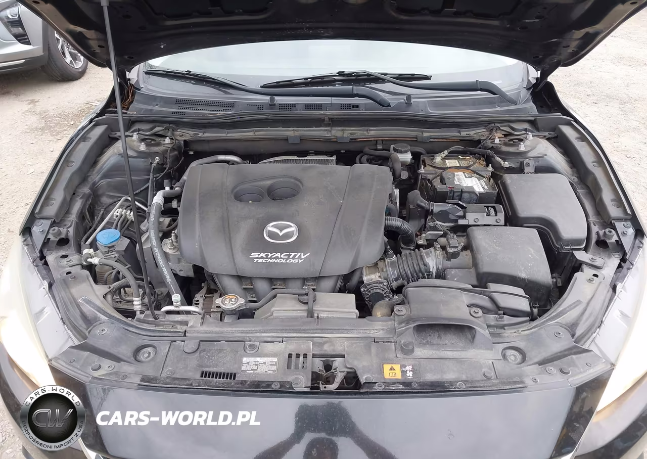 2014 Mazda Mazda3 I Sport VIN:JM1BM1K71E1134594 - 10