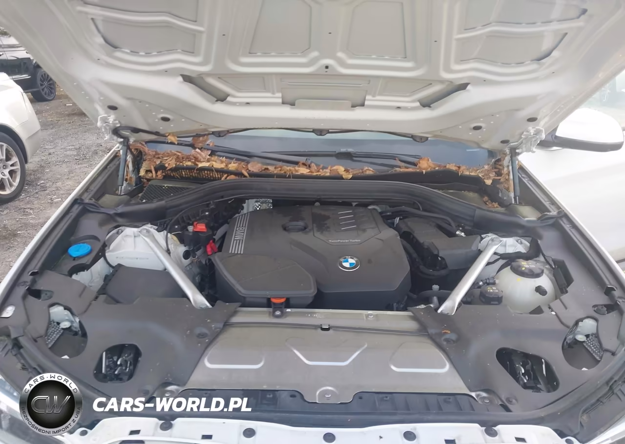2024 BMW X3 xDrive30I VIN:5UX53DP00R9W98661 - 10