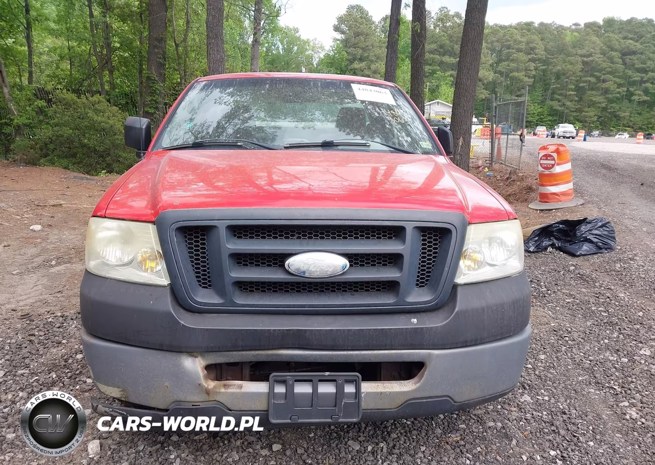 2006 Ford F-150 Stx-Xl-Xlt VIN:1FTRF12296NA59845 - 12