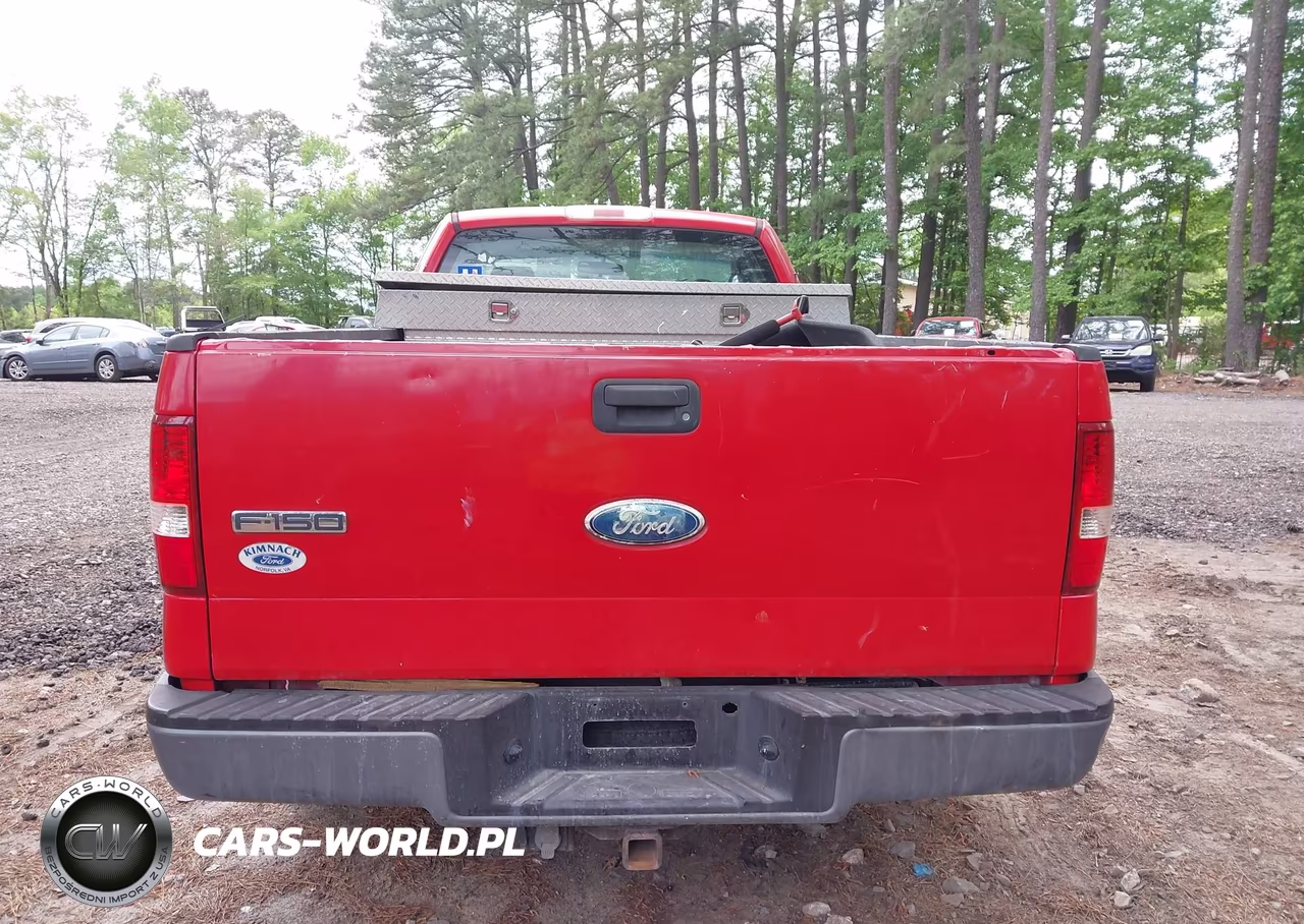2006 Ford F-150 Stx-Xl-Xlt VIN:1FTRF12296NA59845 - 16