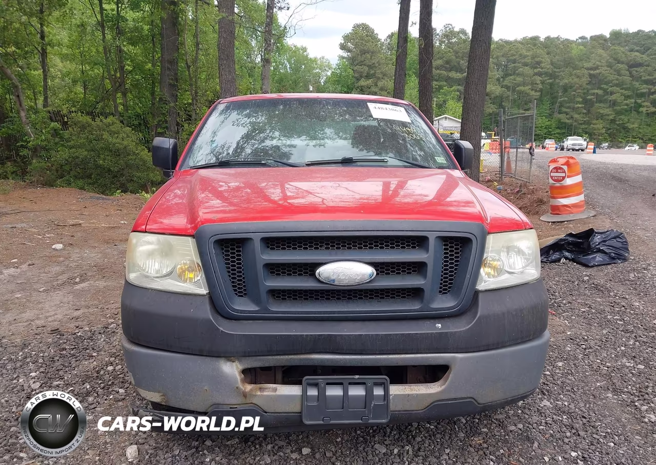 2006 Ford F-150 Stx-Xl-Xlt VIN:1FTRF12296NA59845 - 6
