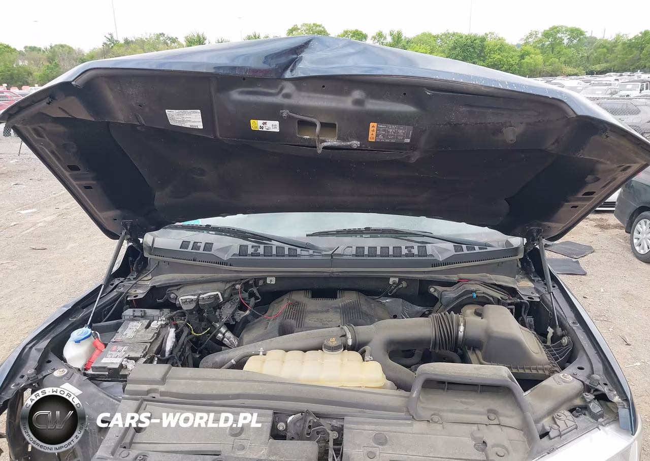 2019 Ford F-150 Xlt VIN:1FTEW1E46KFA50715 - 10