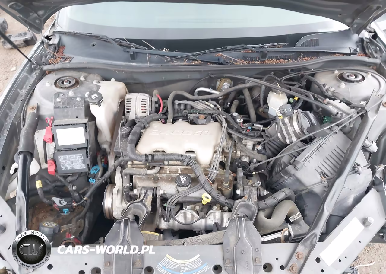 2004 Chevrolet Monte Carlo Ls VIN:2G1WW12E249183817 - 10