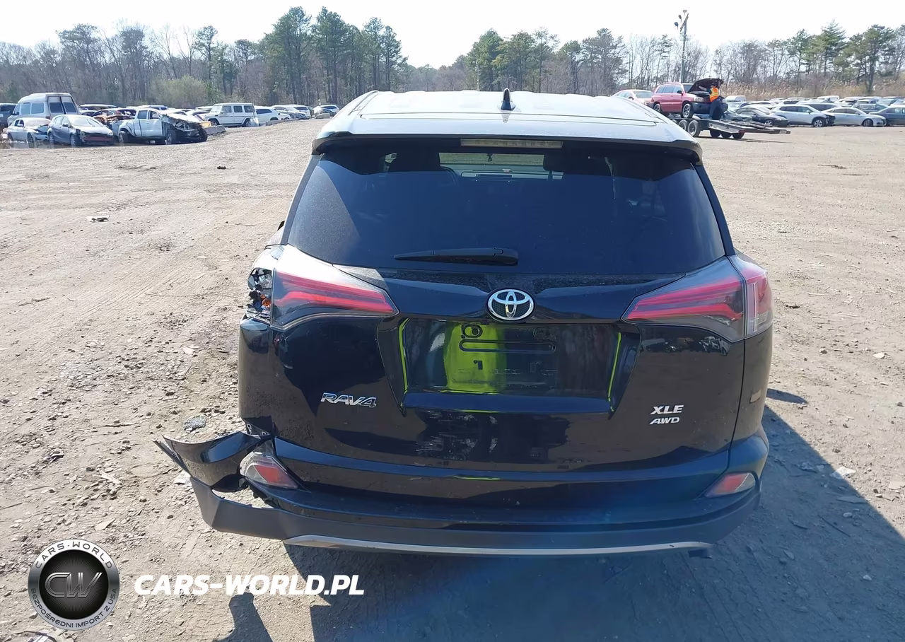 2018 Toyota Rav4 Xle VIN:2T3RFREV9JW789020 - 16