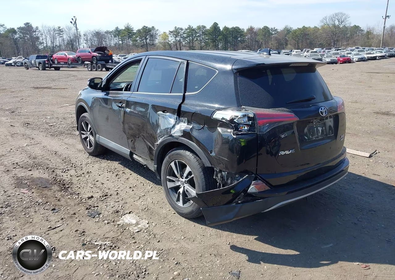 2018 Toyota Rav4 Xle VIN:2T3RFREV9JW789020 - 3