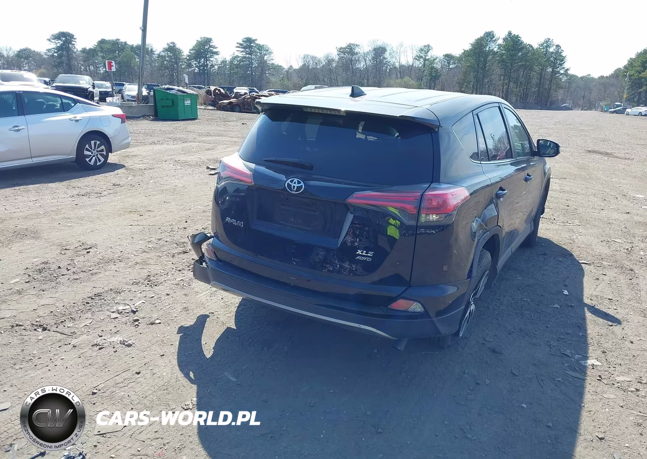 2018 Toyota Rav4 Xle VIN:2T3RFREV9JW789020 - 4