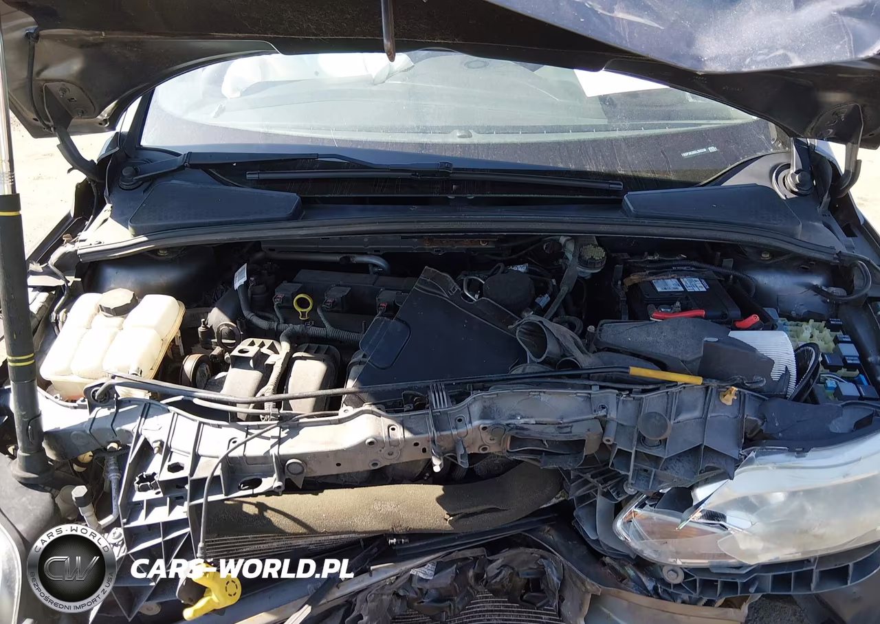 2014 Ford Focus Se VIN:1FADP3K26EL265238 - 10