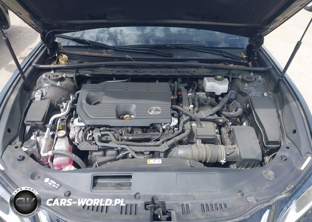 2024 Lexus Es 300H VIN:58ADA1C18RU052124 - 10
