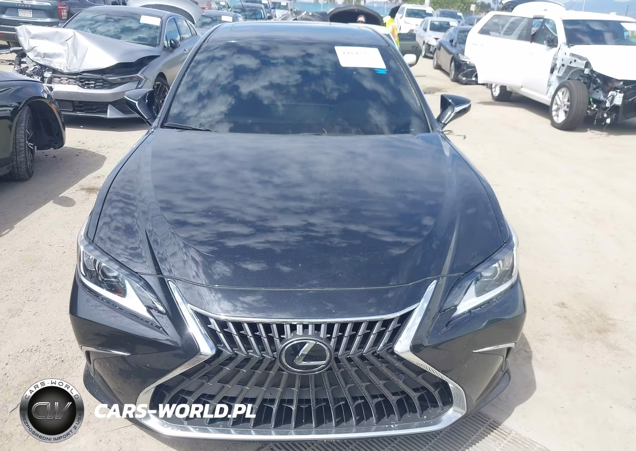 2024 Lexus Es 300H VIN:58ADA1C18RU052124 - 13