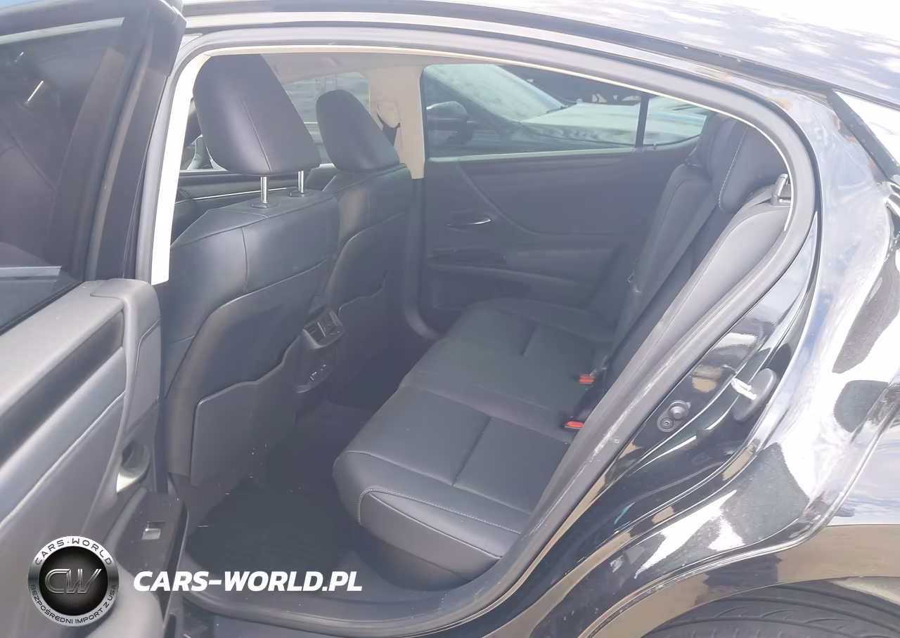 2024 Lexus Es 300H VIN:58ADA1C18RU052124 - 8