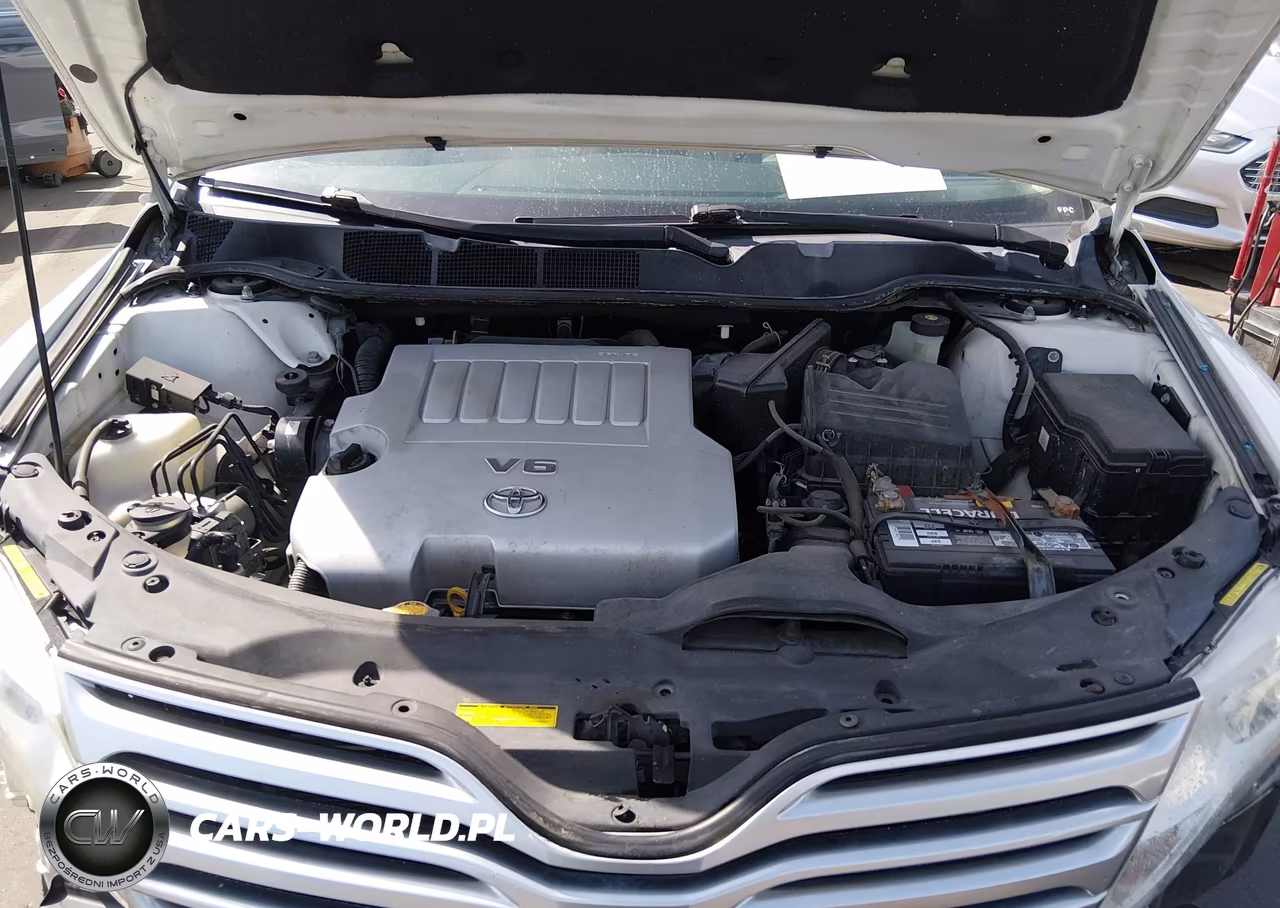 2010 Toyota Venza Base V6 VIN:4T3ZK3BB5AU034529 - 10