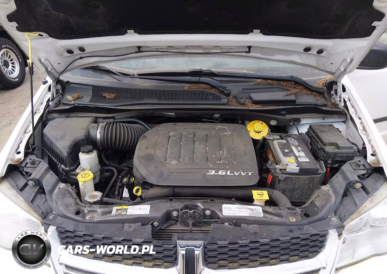2015 Dodge Grand Caravan American Value Pkg VIN:2C4RDGBG1FR725636 - 10