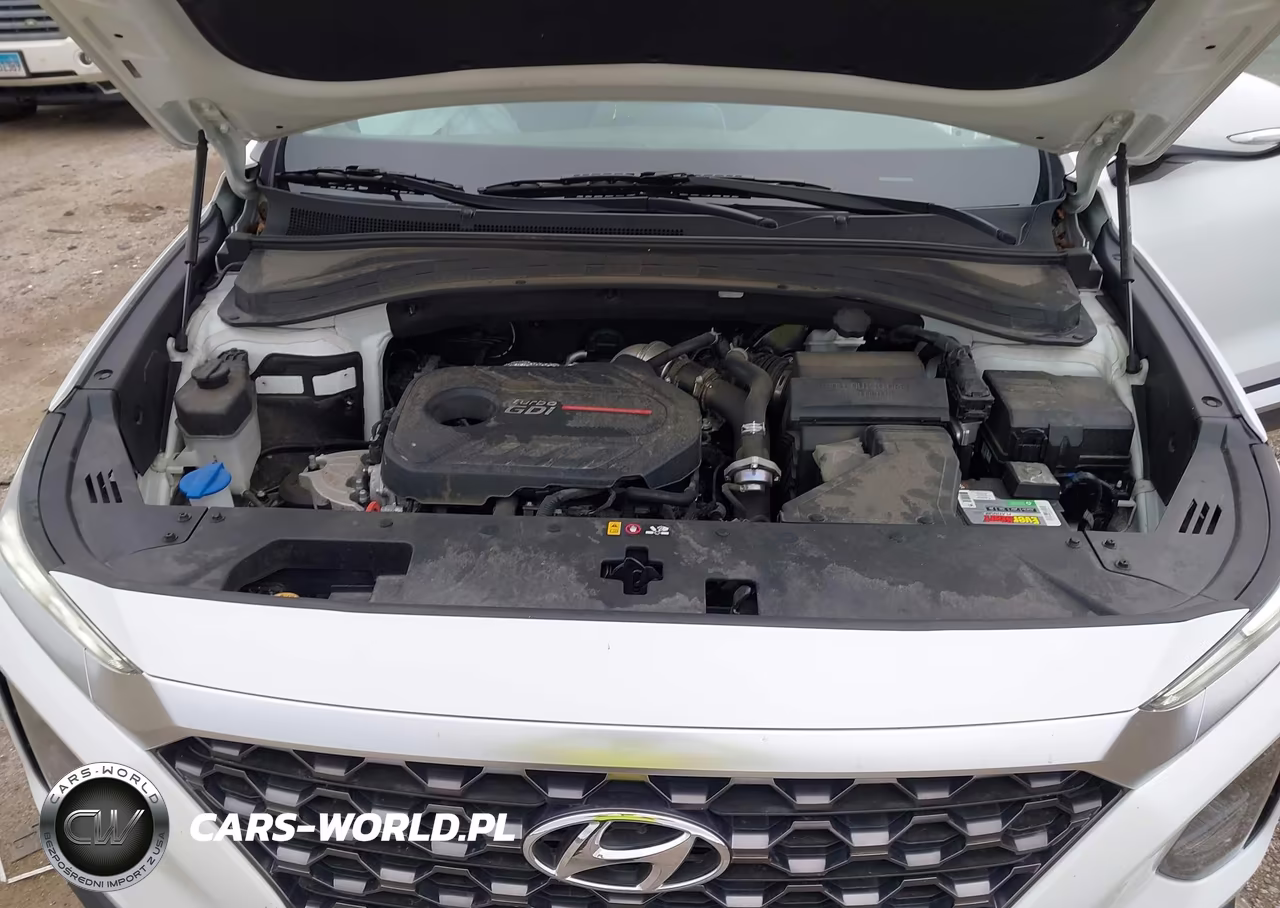 2019 Hyundai Santa Fe Limited 2.0T VIN:5NMS5CAA1KH019954 - 10