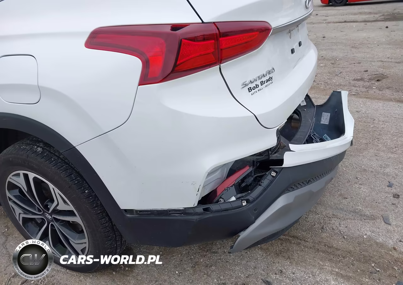 2019 Hyundai Santa Fe Limited 2.0T VIN:5NMS5CAA1KH019954 - 6