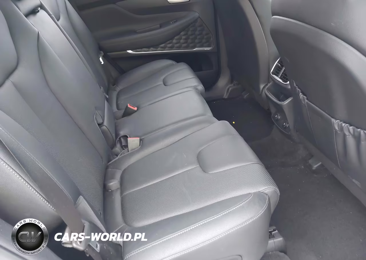 2019 Hyundai Santa Fe Limited 2.0T VIN:5NMS5CAA1KH019954 - 8