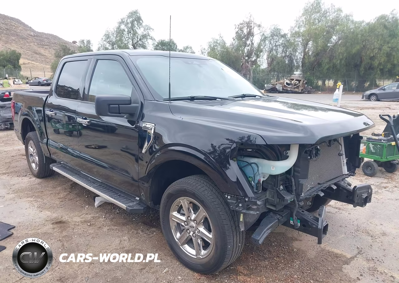 2025 Ford F-150 Xlt – zdjęcie 1 z 17