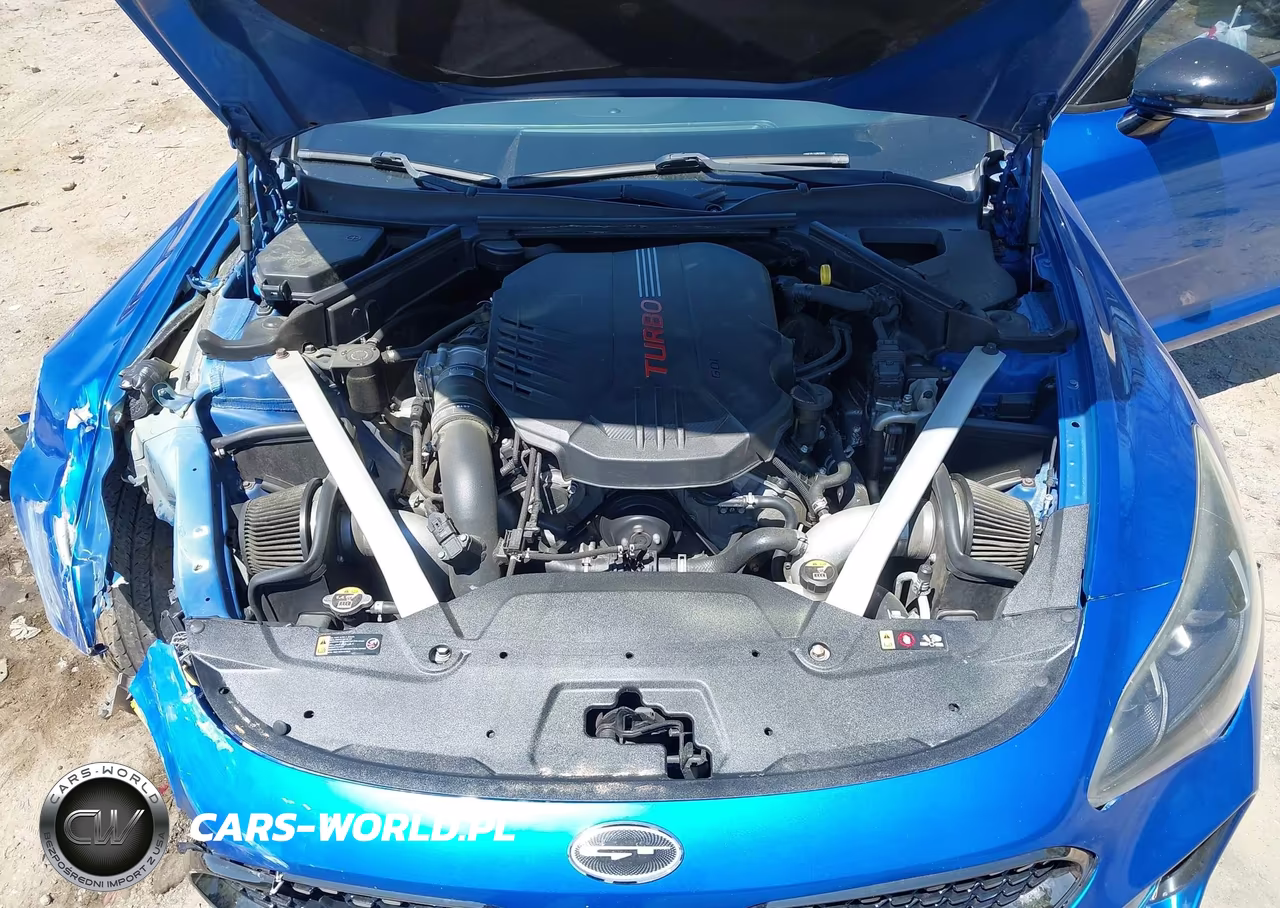 2018 Kia Stinger Gt VIN:KNAE35LC4J6012602 - 10