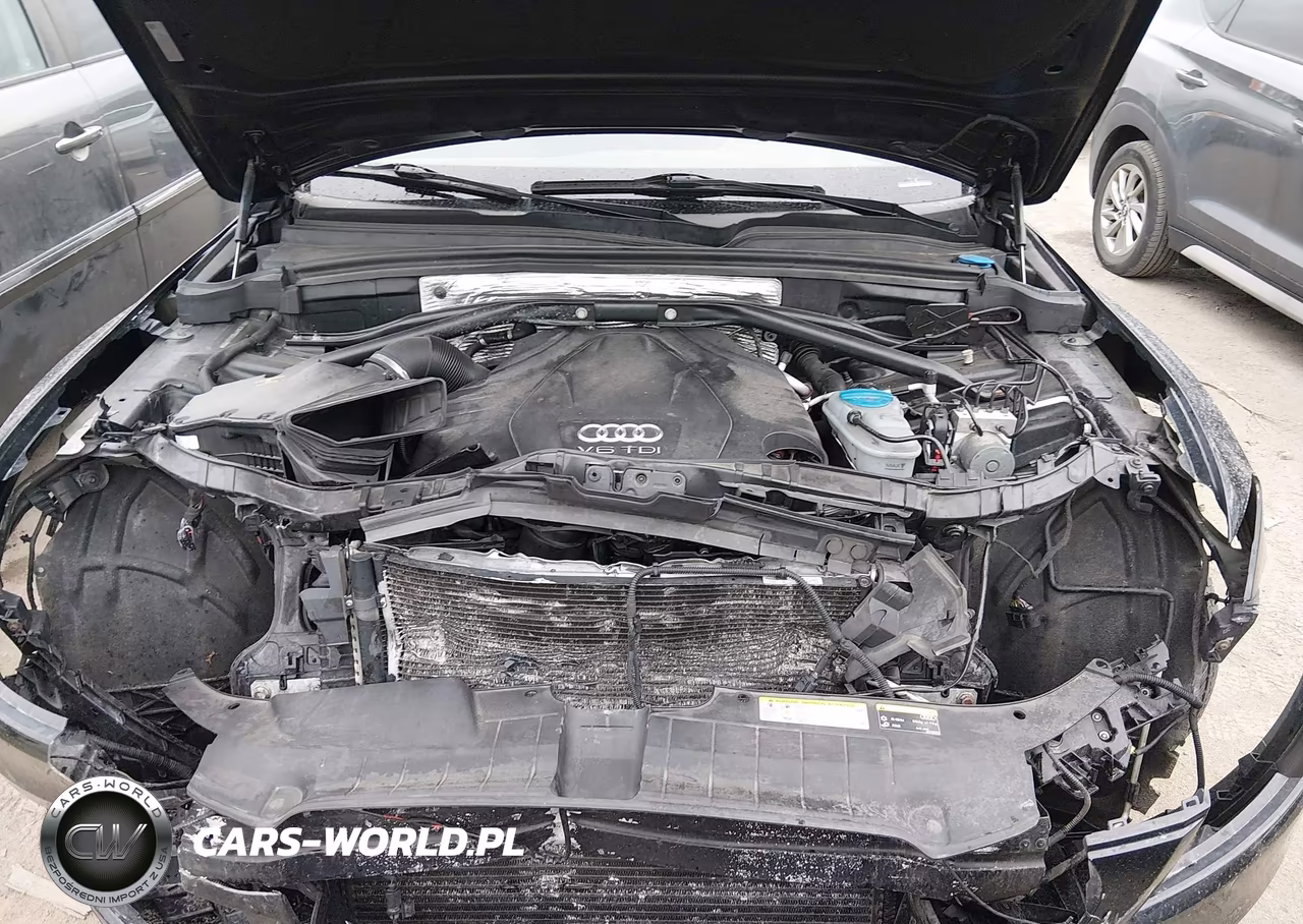 2016 Audi Q5 3.0 Tdi Premium Plus VIN:WA1CVAFP5GA040789 - 10