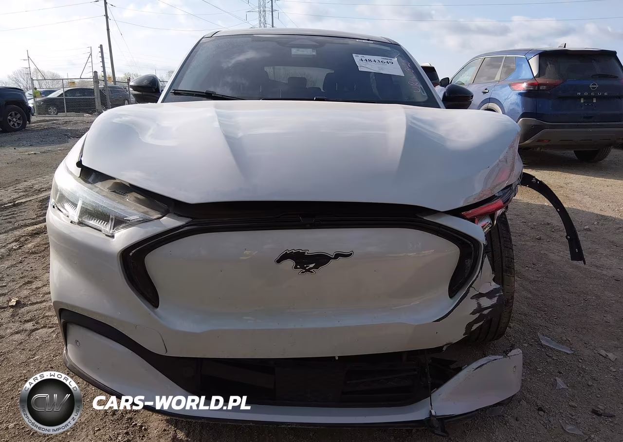 2023 Ford Mustang Mach-E Premium VIN:3FMTK3SU5PMB05516 - 12