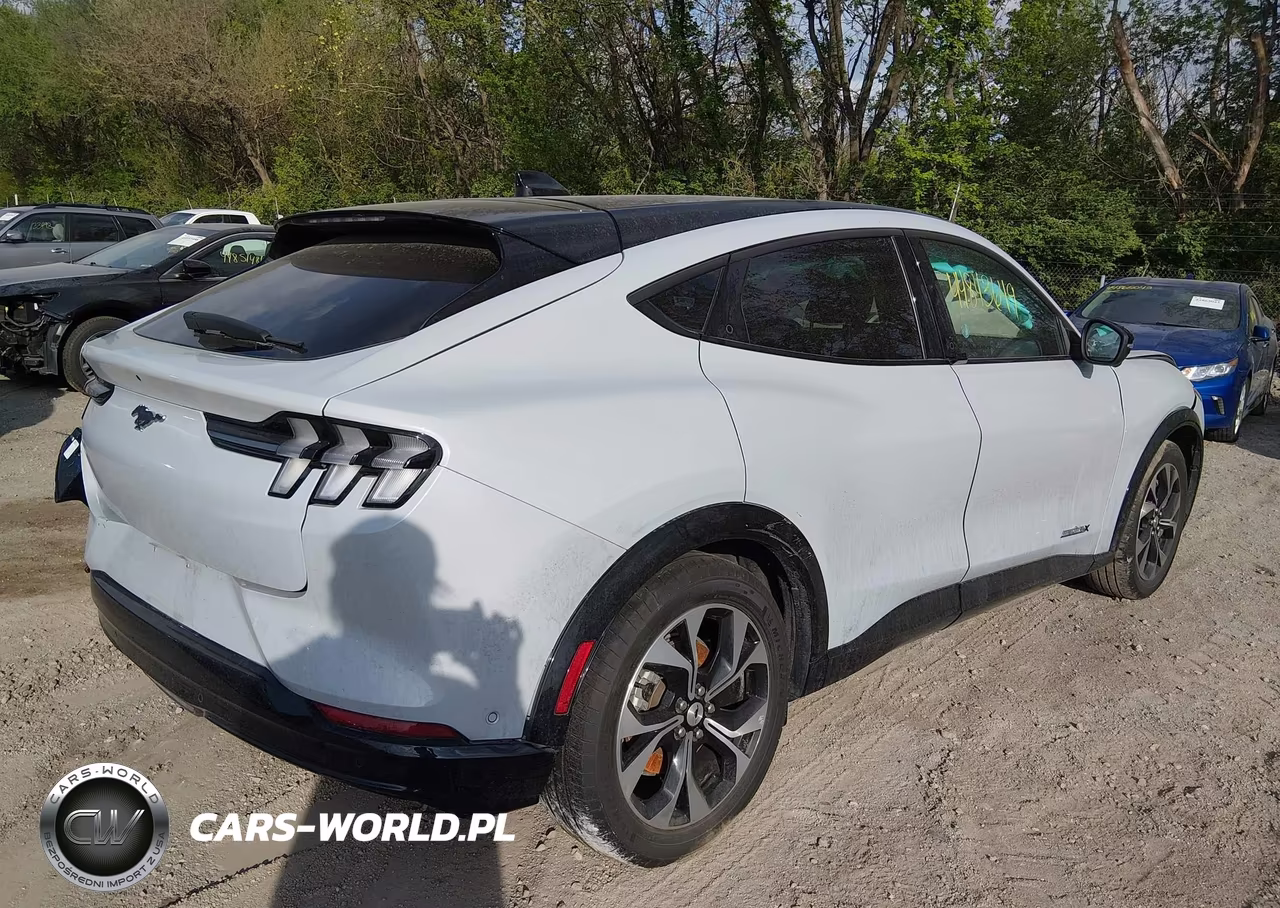 2023 Ford Mustang Mach-E Premium VIN:3FMTK3SU5PMB05516 - 4