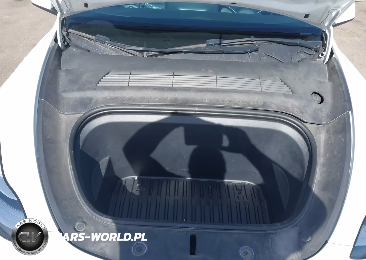 2023 Tesla Model Y Awd-Long Range Dual Motor All-Wheel Drive VIN:7SAYGDEE5PA090221 - 10