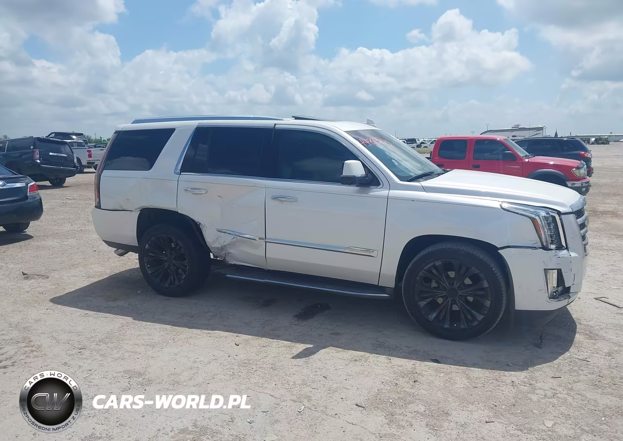2016 Cadillac Escalade Luxury Collection VIN:1GYS3BKJ1GR344051 - 13