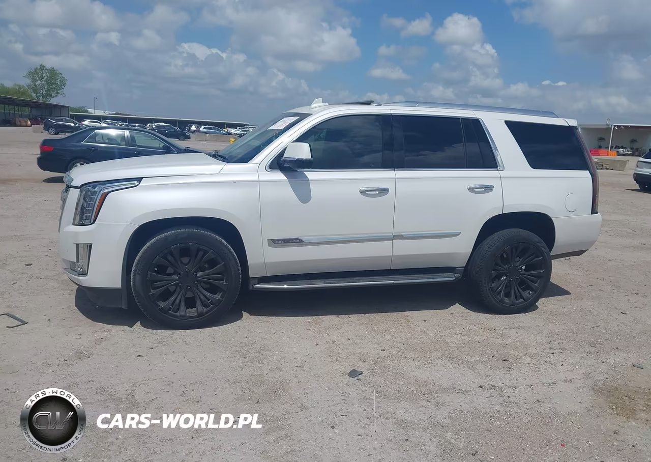 2016 Cadillac Escalade Luxury Collection VIN:1GYS3BKJ1GR344051 - 14