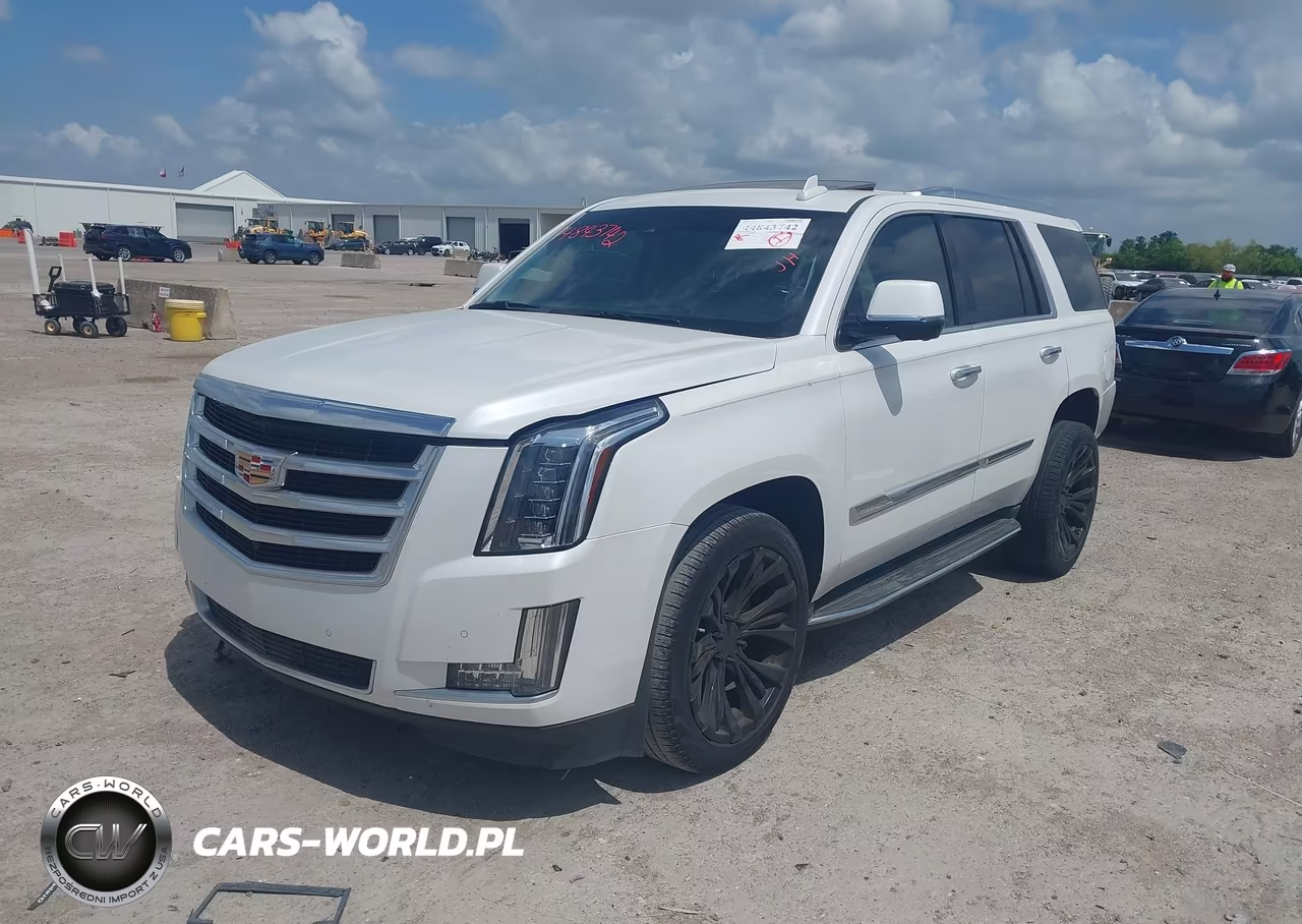 2016 Cadillac Escalade Luxury Collection VIN:1GYS3BKJ1GR344051 - 2