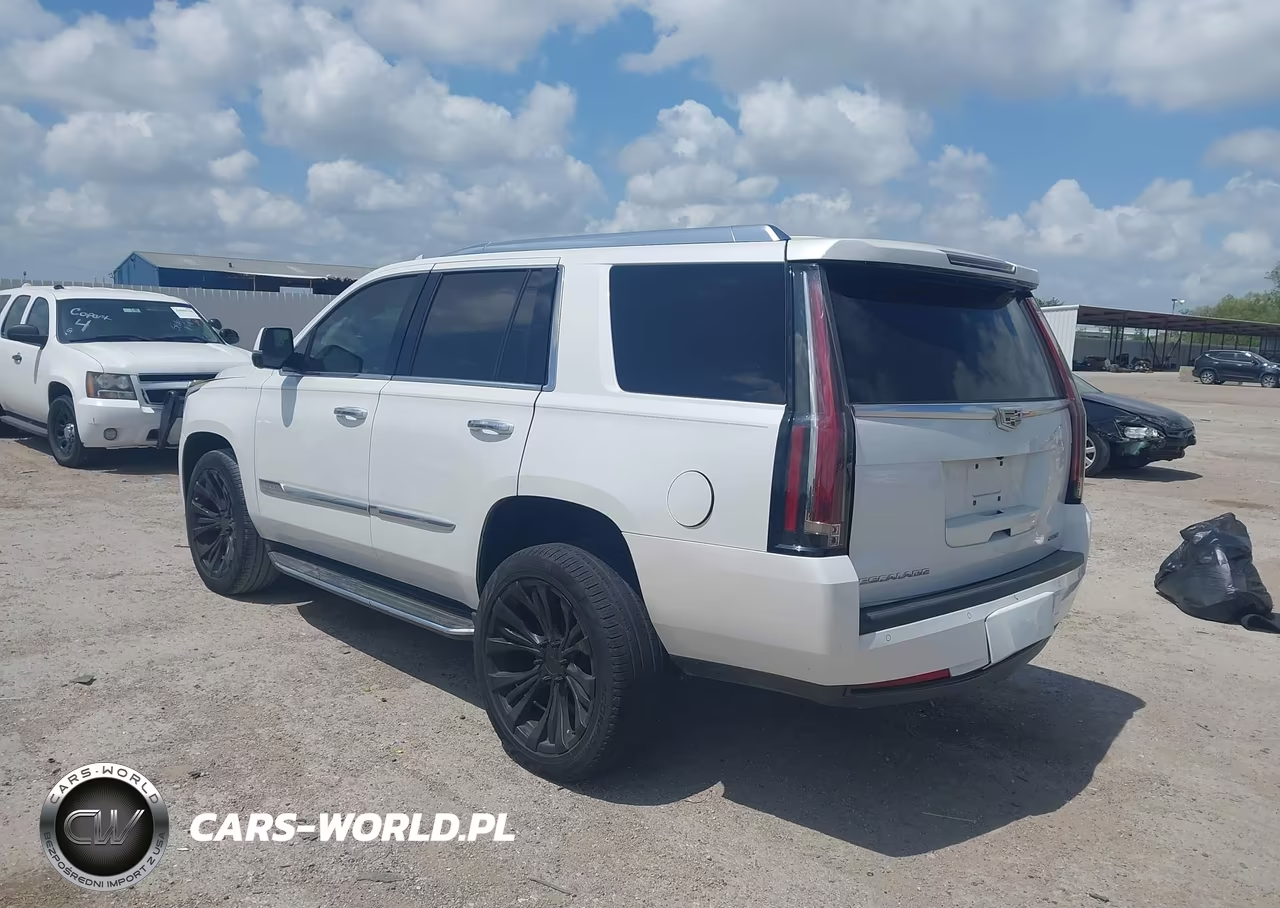 2016 Cadillac Escalade Luxury Collection VIN:1GYS3BKJ1GR344051 - 3