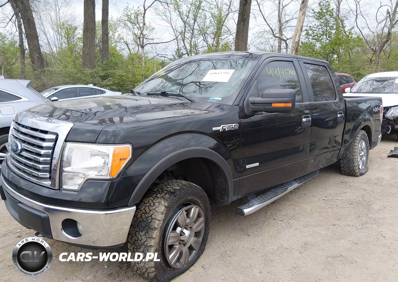 2011 Ford F-150 Xlt VIN:1FTFW1ET3BFD07101 - 2