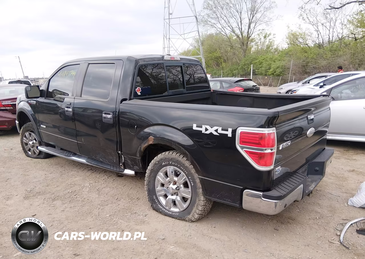 2011 Ford F-150 Xlt VIN:1FTFW1ET3BFD07101 - 3