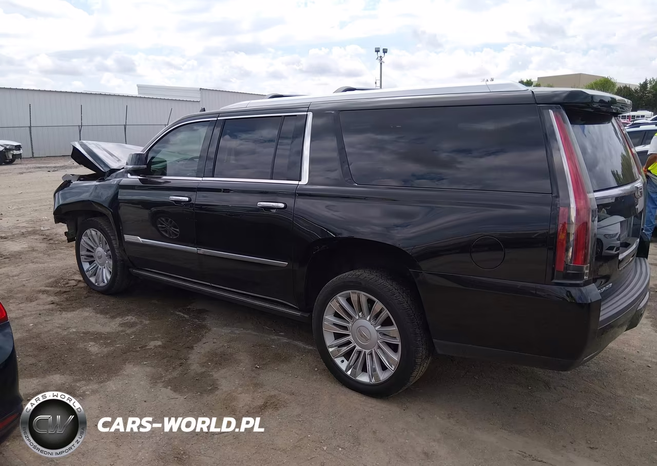 2016 Cadillac Escalade Esv Platinum VIN:1GYS3KKJ5GR450910 - 14