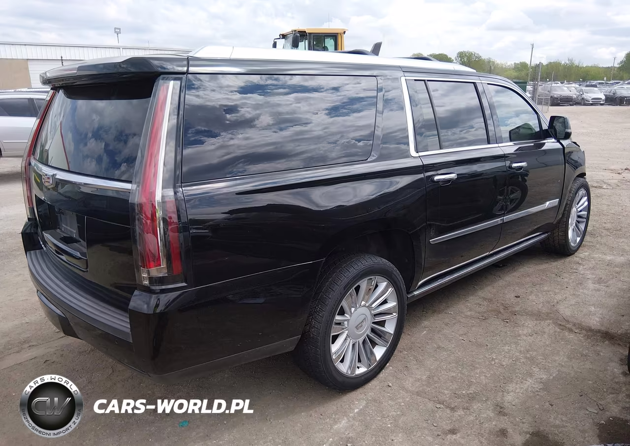 2016 Cadillac Escalade Esv Platinum VIN:1GYS3KKJ5GR450910 - 4