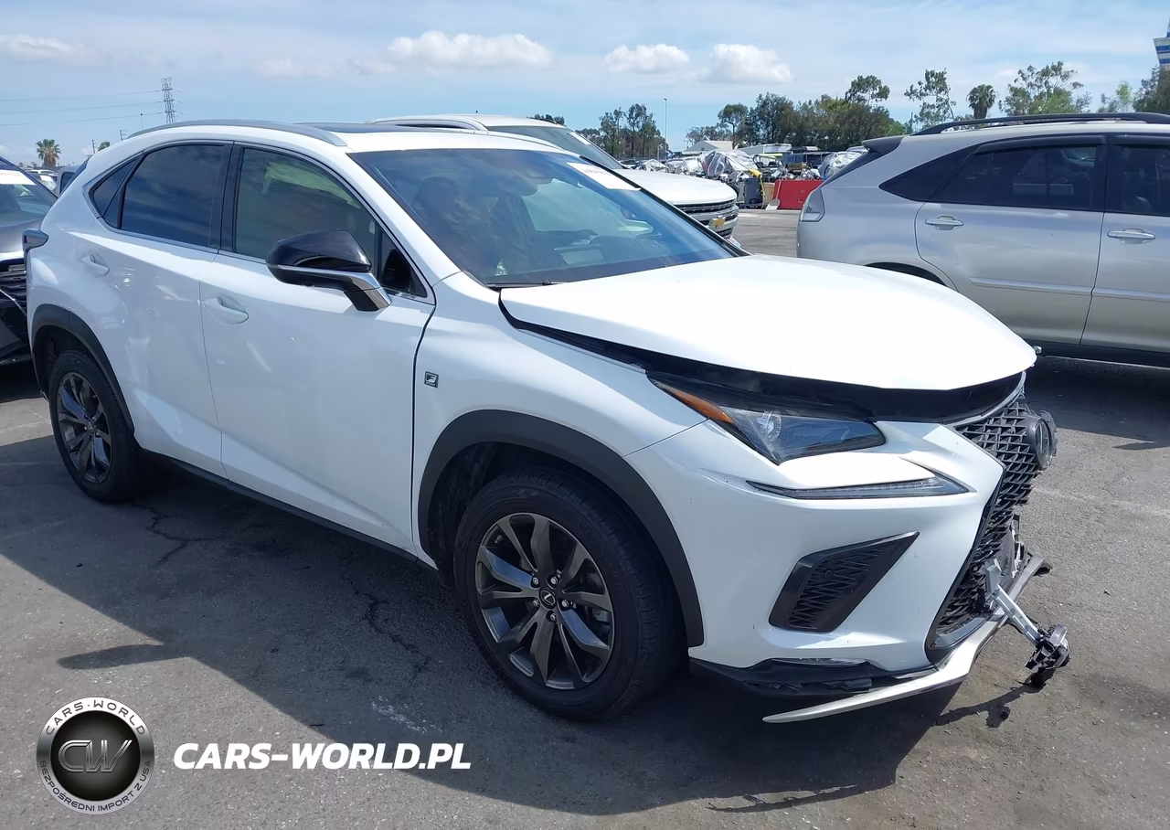 2021 Lexus Nx 300 F Sport