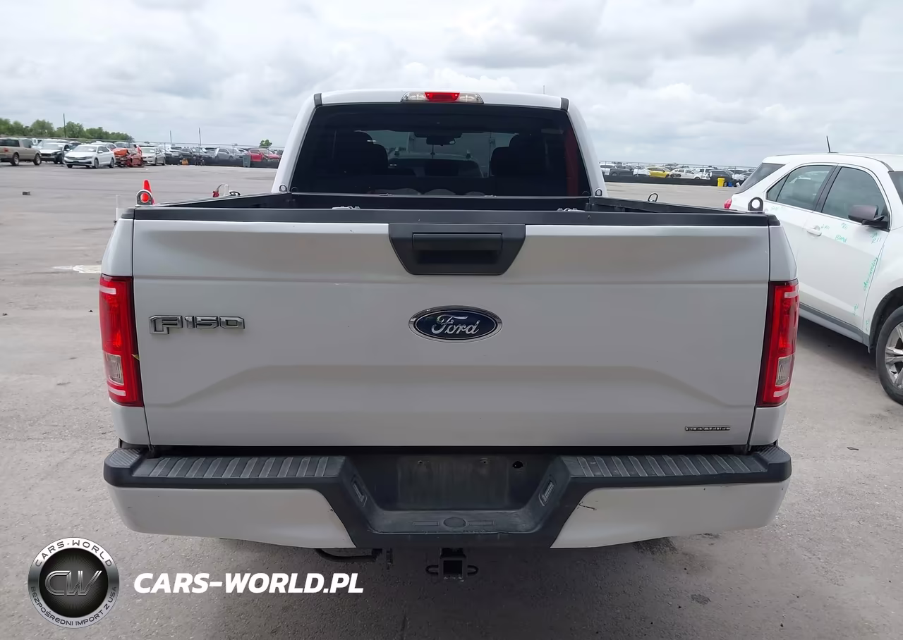 2015 Ford F-150 Xl VIN:1FTEX1C84FKF03116 - 16