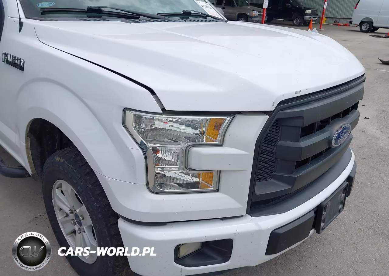 2015 Ford F-150 Xl VIN:1FTEX1C84FKF03116 - 17