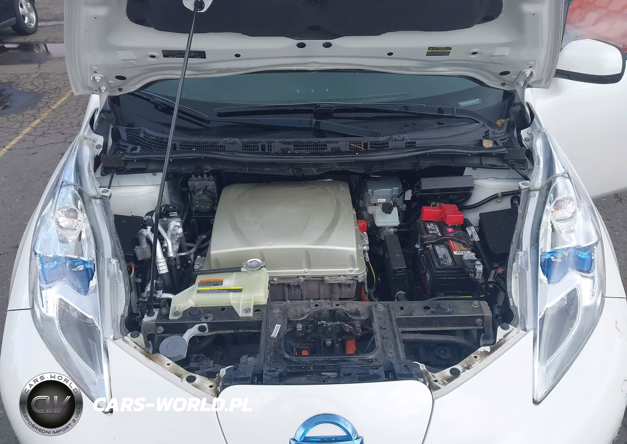 2016 Nissan Leaf Sl VIN:1N4BZ0CP8GC304358 - 10
