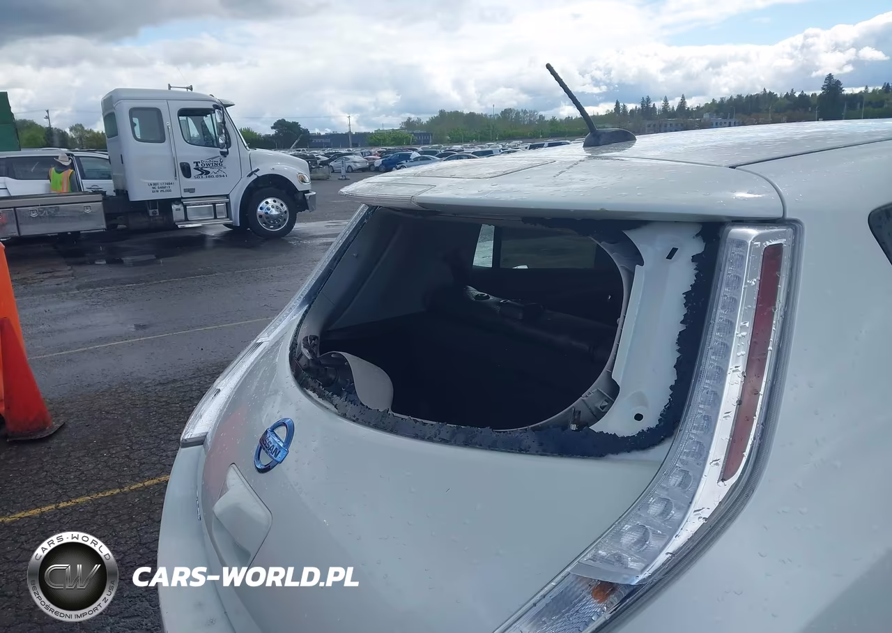 2016 Nissan Leaf Sl VIN:1N4BZ0CP8GC304358 - 19