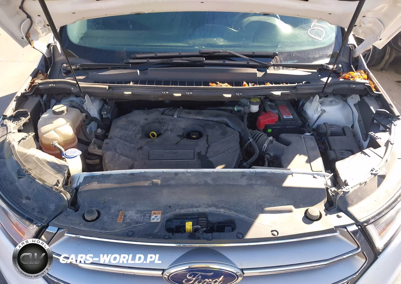 2018 Ford Edge Sel VIN:2FMPK4J98JBB28933 - 10