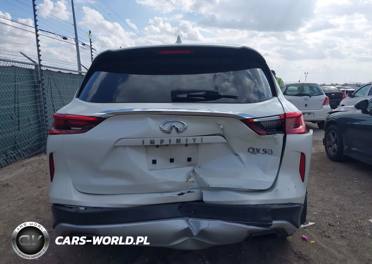 2019 Infiniti Qx50 Luxe VIN:3PCAJ5M14KF112239 - 15