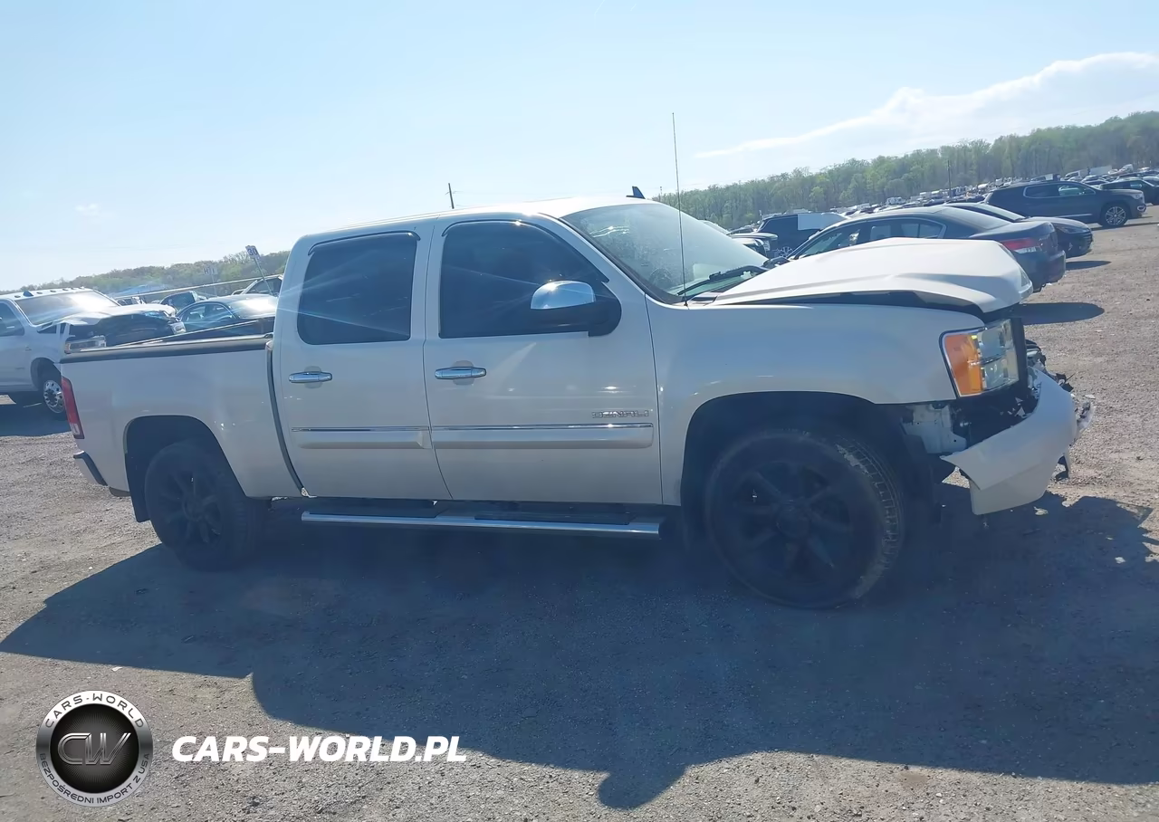 2012 GMC Sierra 1500 Denali VIN:3GTP2XE28CG261825 - 13