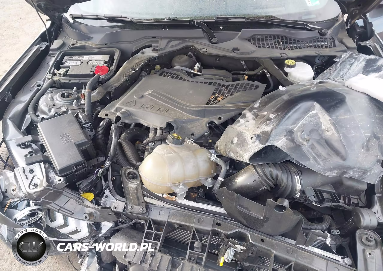 2019 Ford Mustang Ecoboost Premium VIN:1FATP8UH6K5195802 - 10