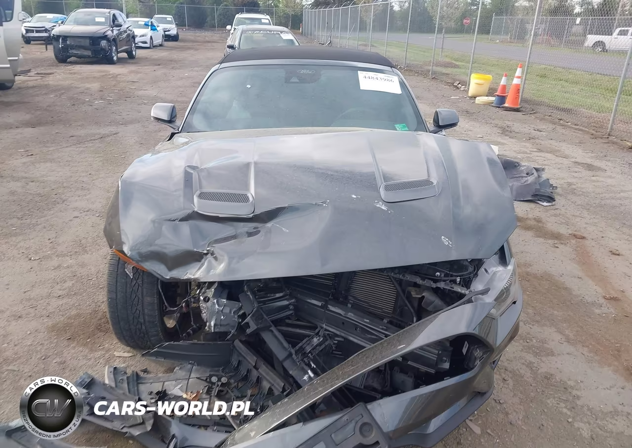 2019 Ford Mustang Ecoboost Premium VIN:1FATP8UH6K5195802 - 13
