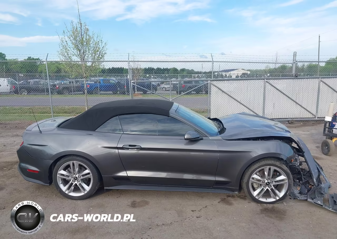 2019 Ford Mustang Ecoboost Premium VIN:1FATP8UH6K5195802 - 14