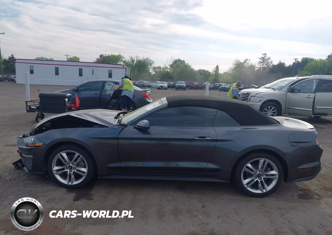 2019 Ford Mustang Ecoboost Premium VIN:1FATP8UH6K5195802 - 15