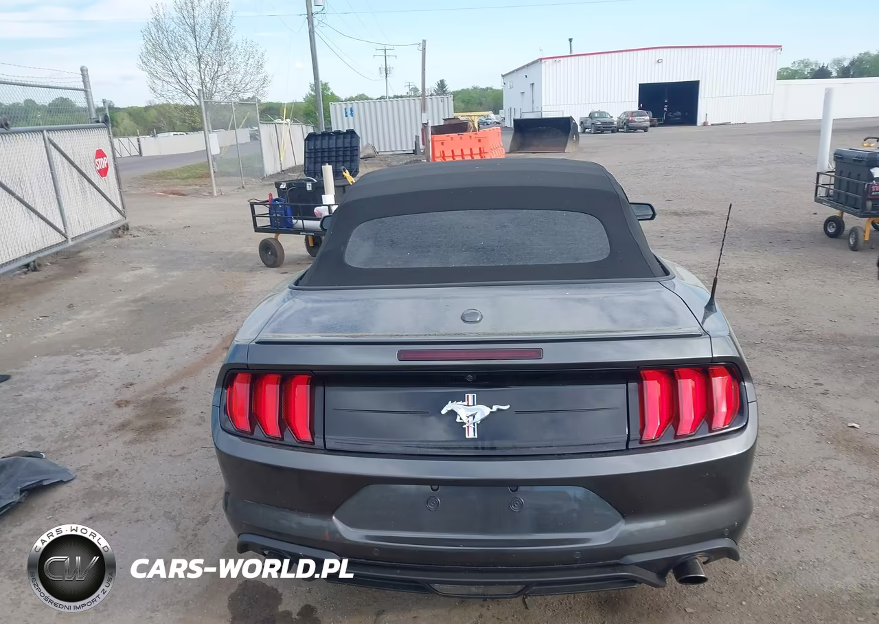 2019 Ford Mustang Ecoboost Premium VIN:1FATP8UH6K5195802 - 17