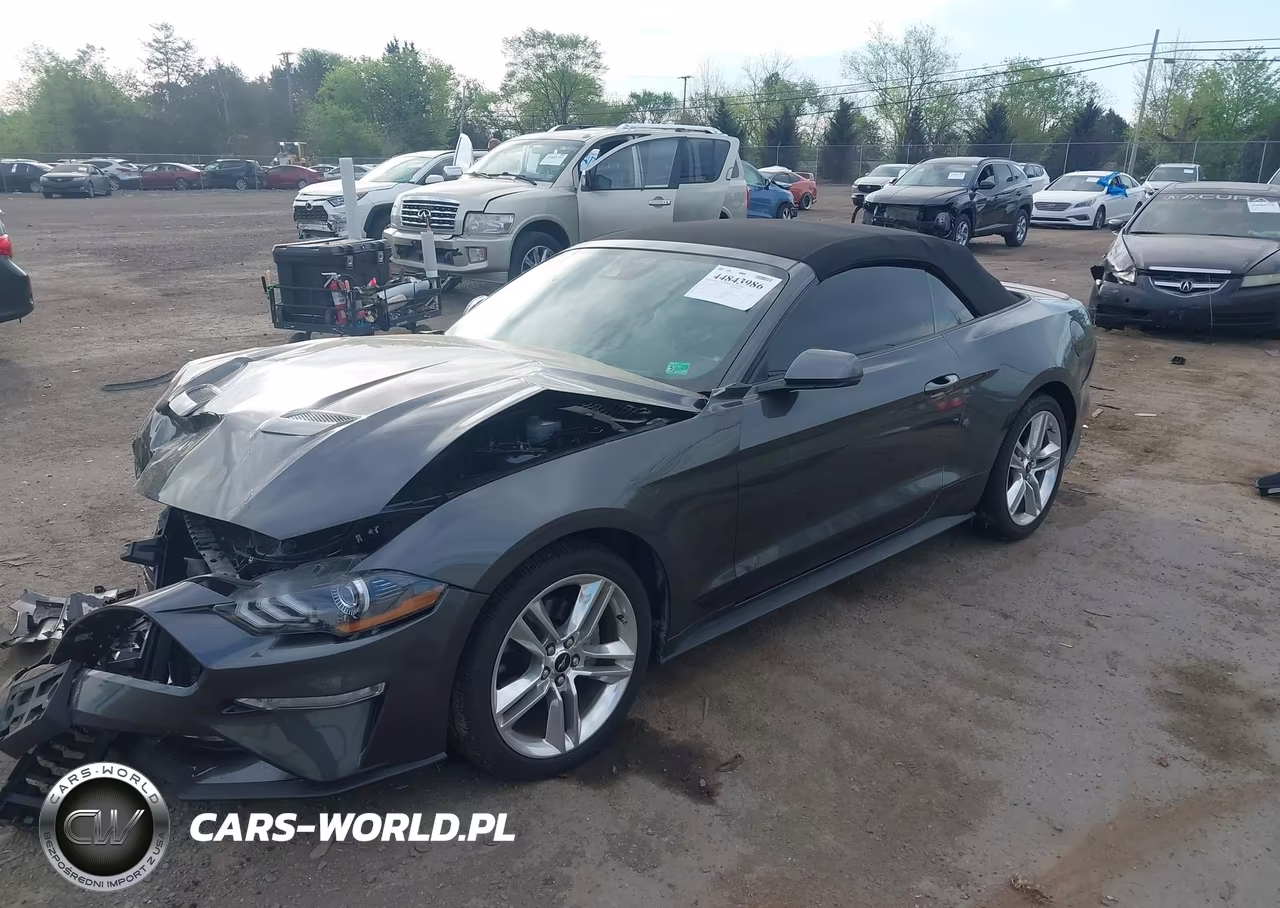 2019 Ford Mustang Ecoboost Premium VIN:1FATP8UH6K5195802 - 2