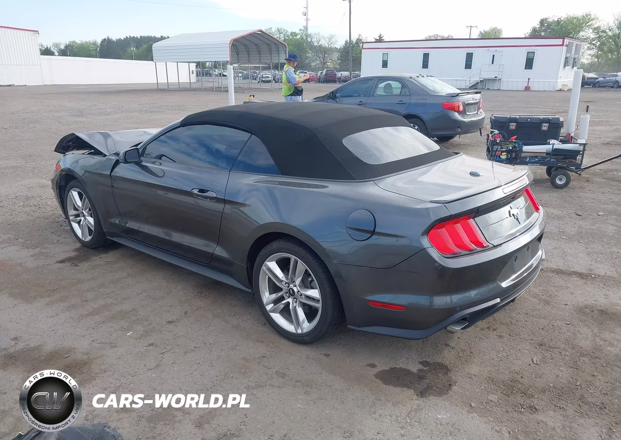 2019 Ford Mustang Ecoboost Premium VIN:1FATP8UH6K5195802 - 3